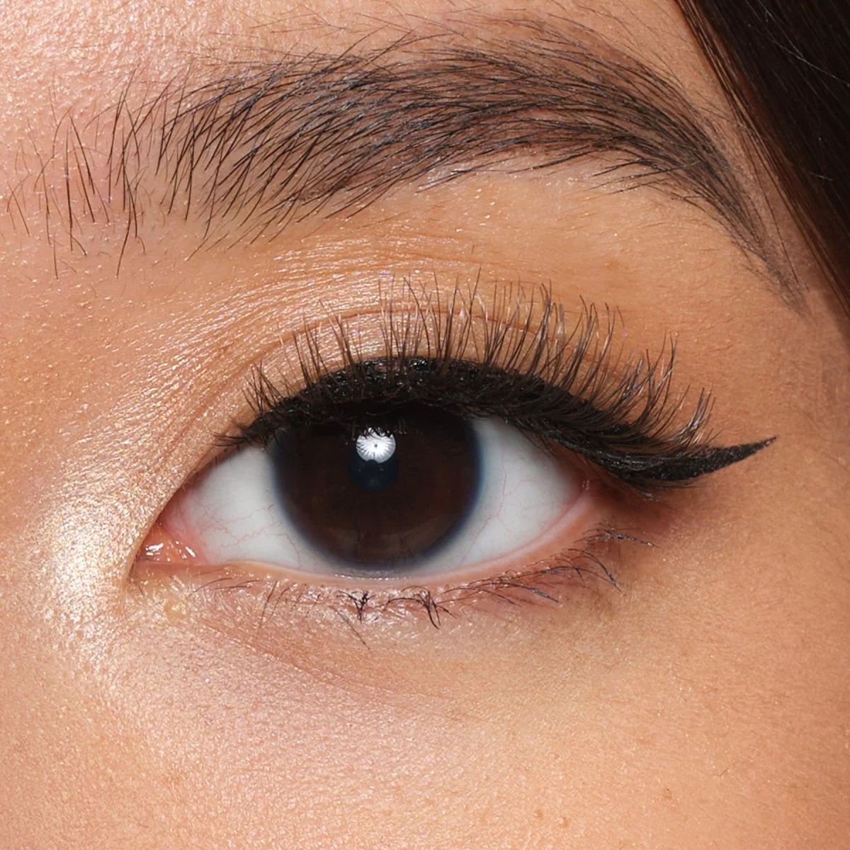 Amour Hybrid+ Magnetic Lash Starter Set - Image 3