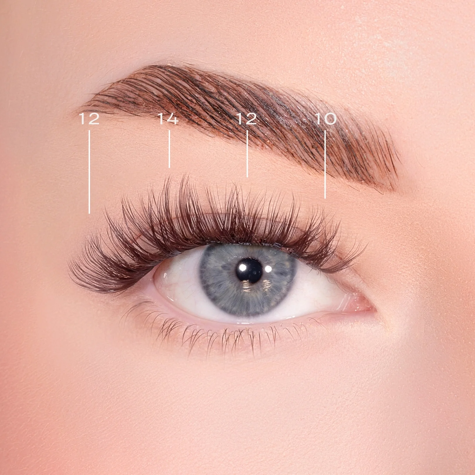 Bold Definition Dark Brown Pre-Glued Lashes - Image 4