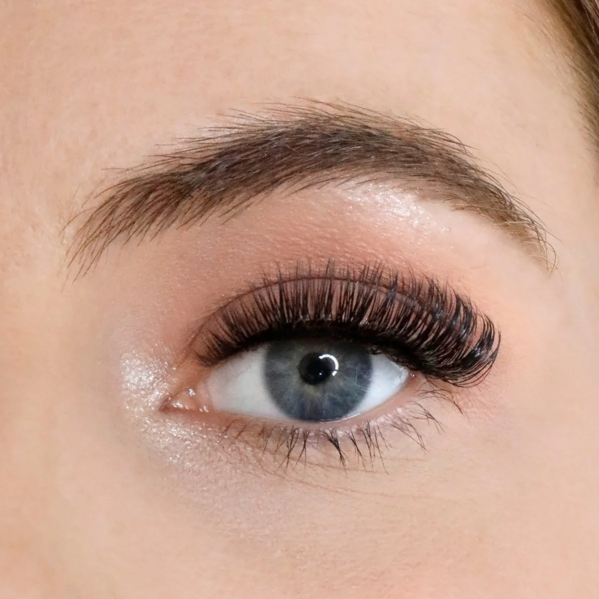 L.W.I Boss it Russian Strip Lash Bundle - Image 2