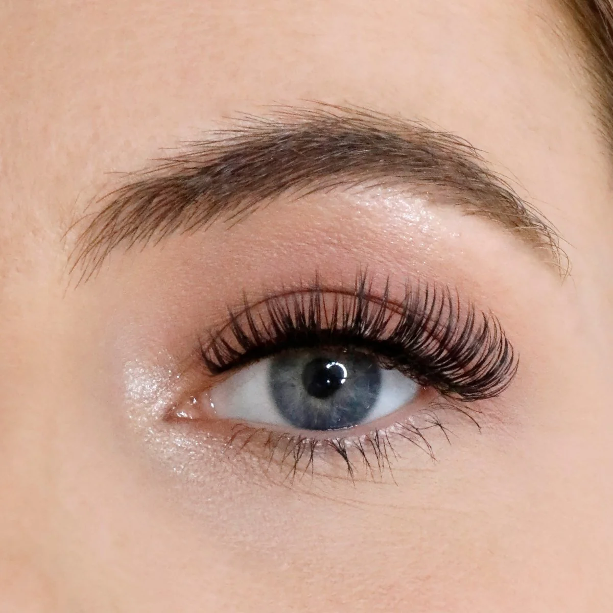L.W.I Boss it Russian Strip Lash Bundle - Image 6