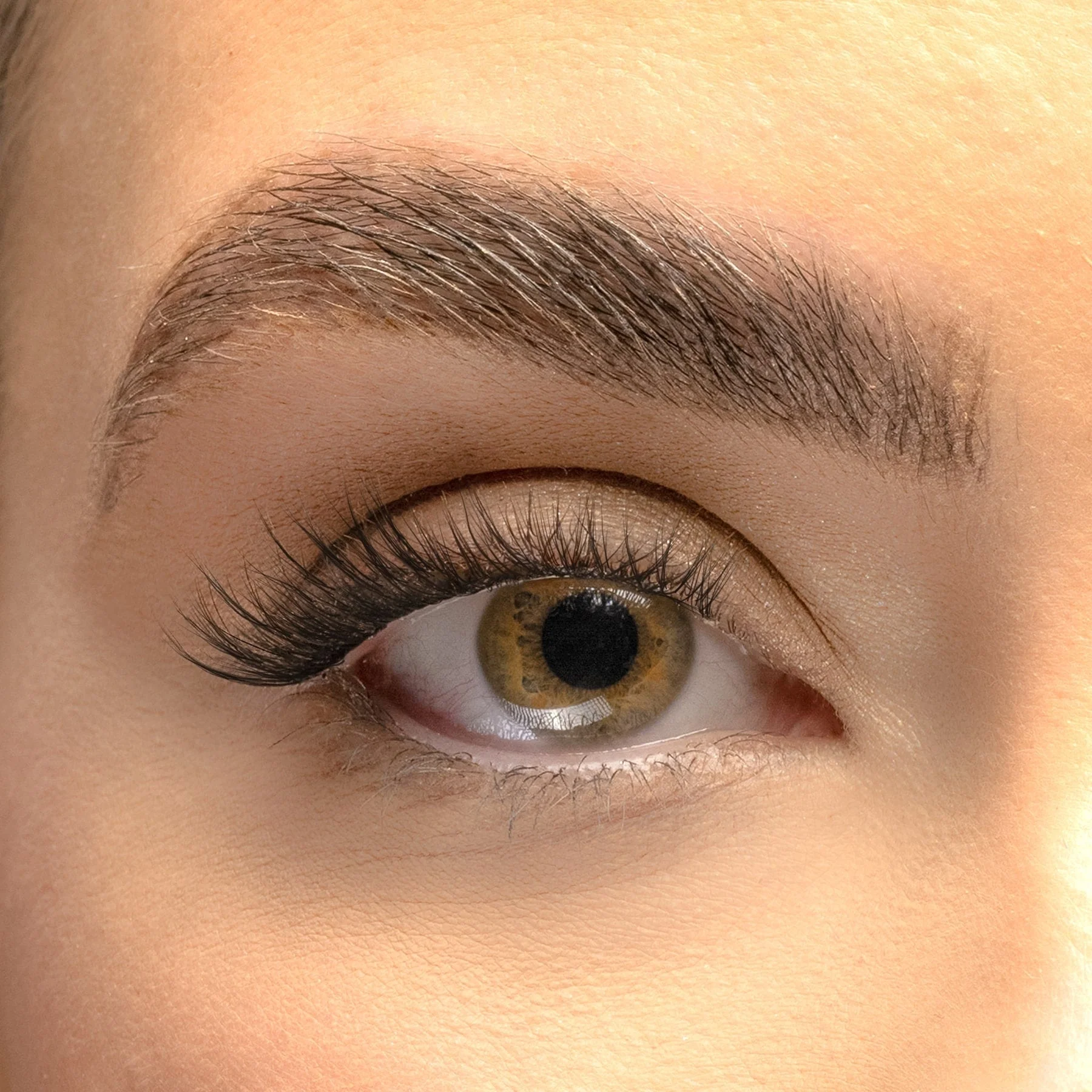 Cat-eye Classic Pre-mapped Cluster Lashes - Image 2