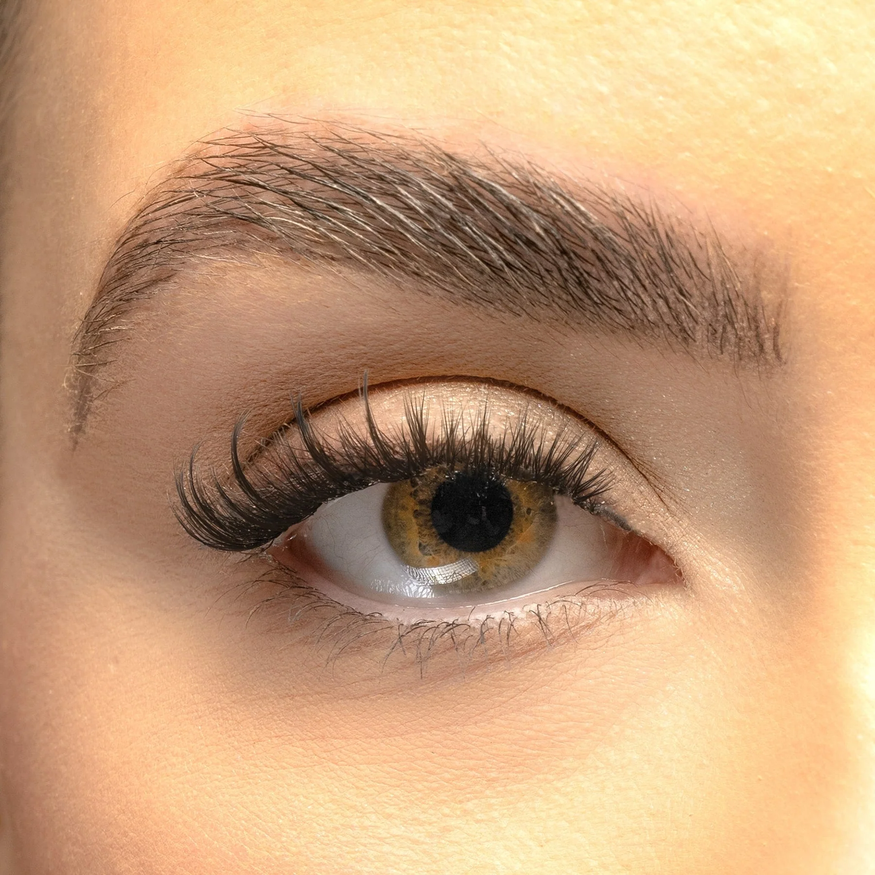 Cat-Eye Hybrid DIY Lash Extensions Starter Set - Image 2