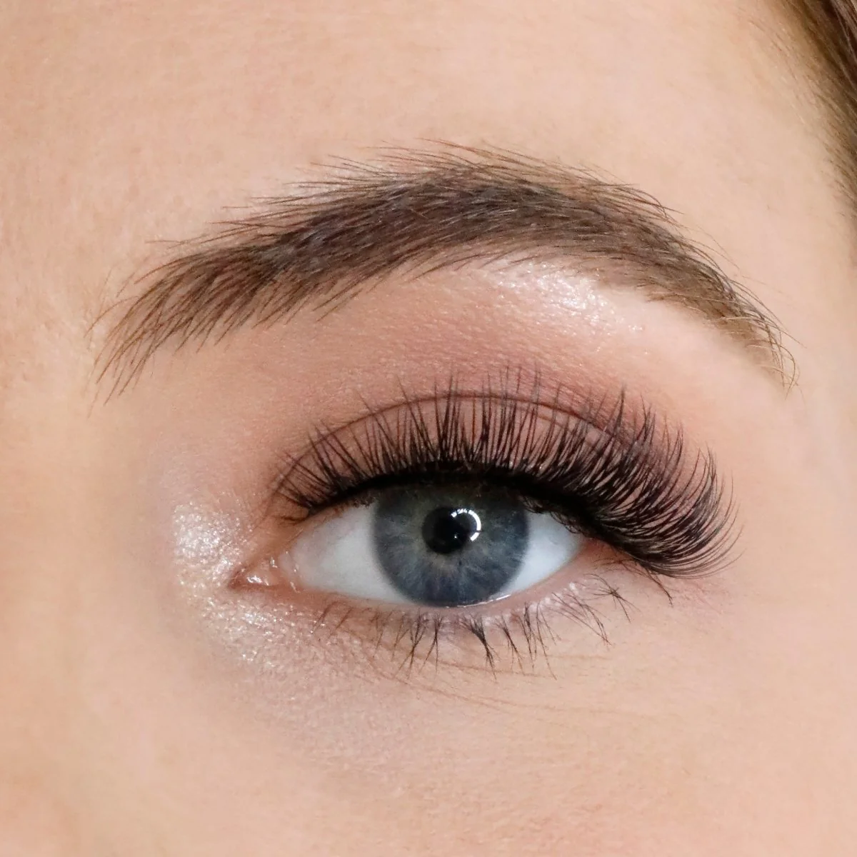 L.W.I Classic Curl Russian Strip Lash Bundle - Image 2