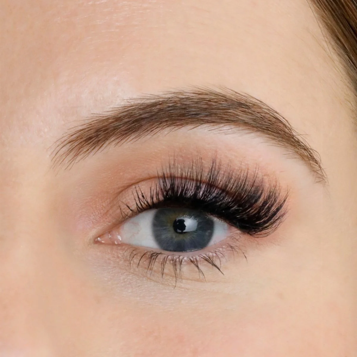 Cleo Hybrid Magnetic Half Lash Starter Set - Image 3