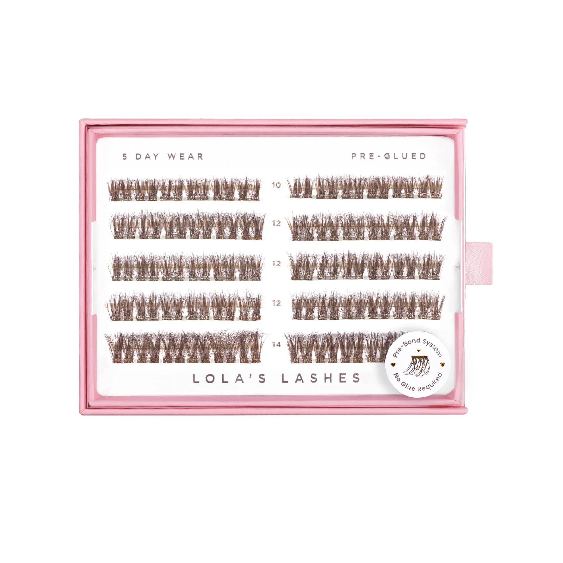 Soft Cocoa Brown Pre-Glued Lashes - Image 13