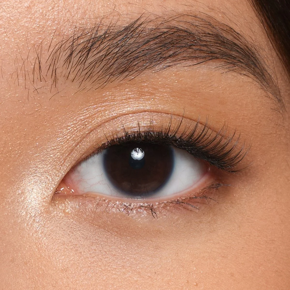 Everyday Strip Lashes - Image 3