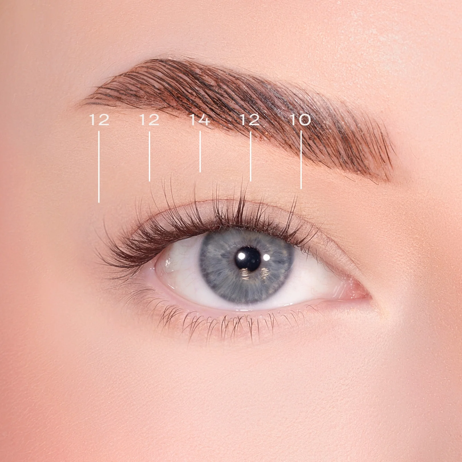 Feathered Dark Brown Pre-Glued Lashes Set - Image 5