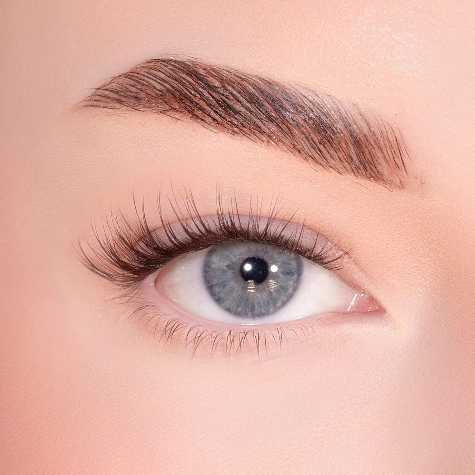 Natural Pre-mapped Dark Brown Pre-Glued Lashes - Image 2