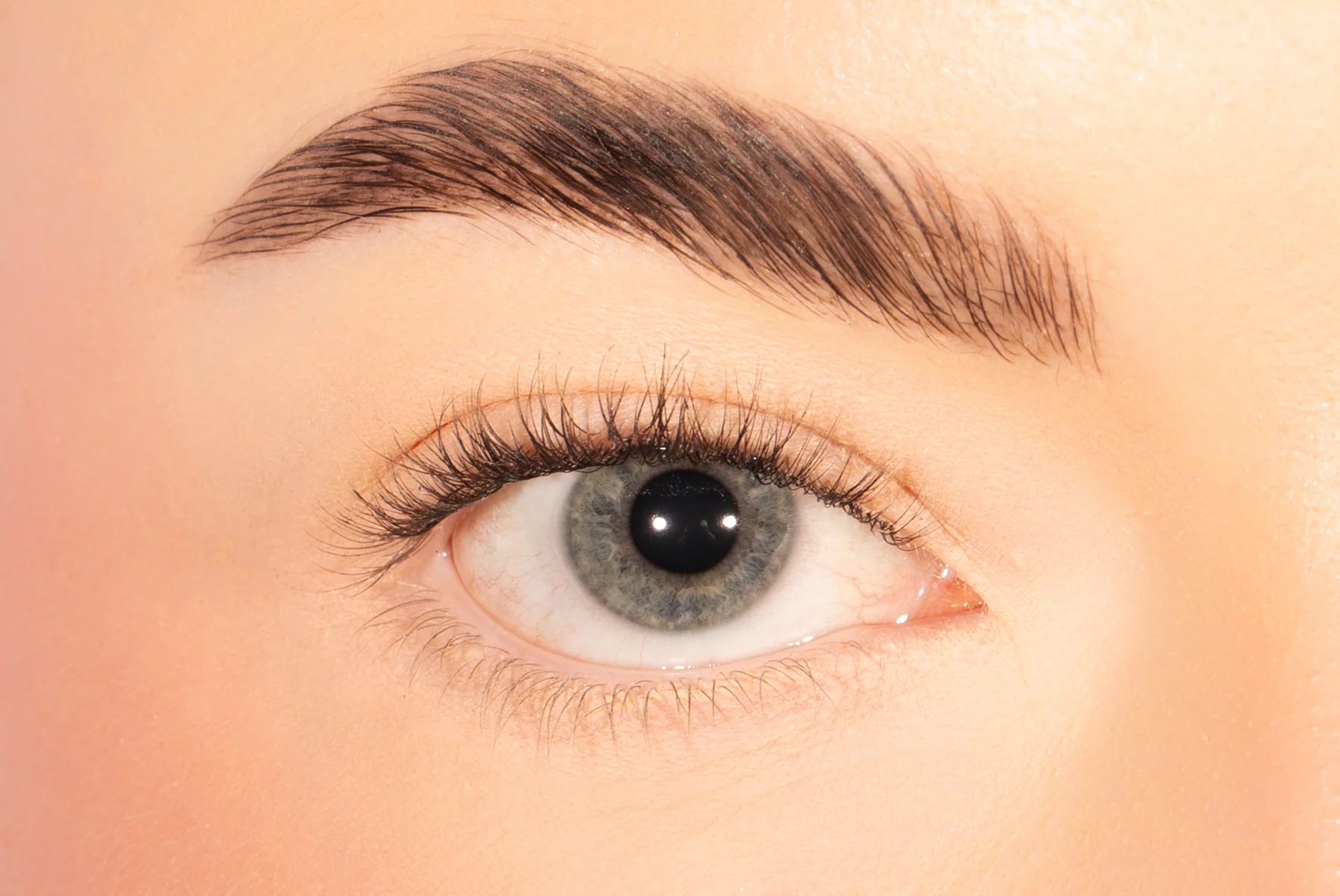 Short Classic Pre-mapped Cluster Lashes - Image 2