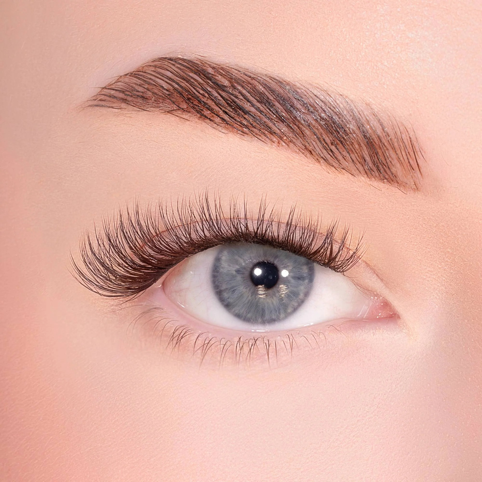 Soft Cocoa Brown Pre-Glued Lashes Set - Image 2