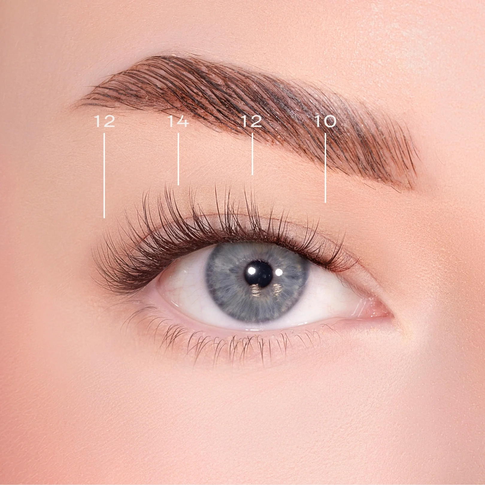 Soft Definition Dark Brown Pre-Glued Lashes - Image 4