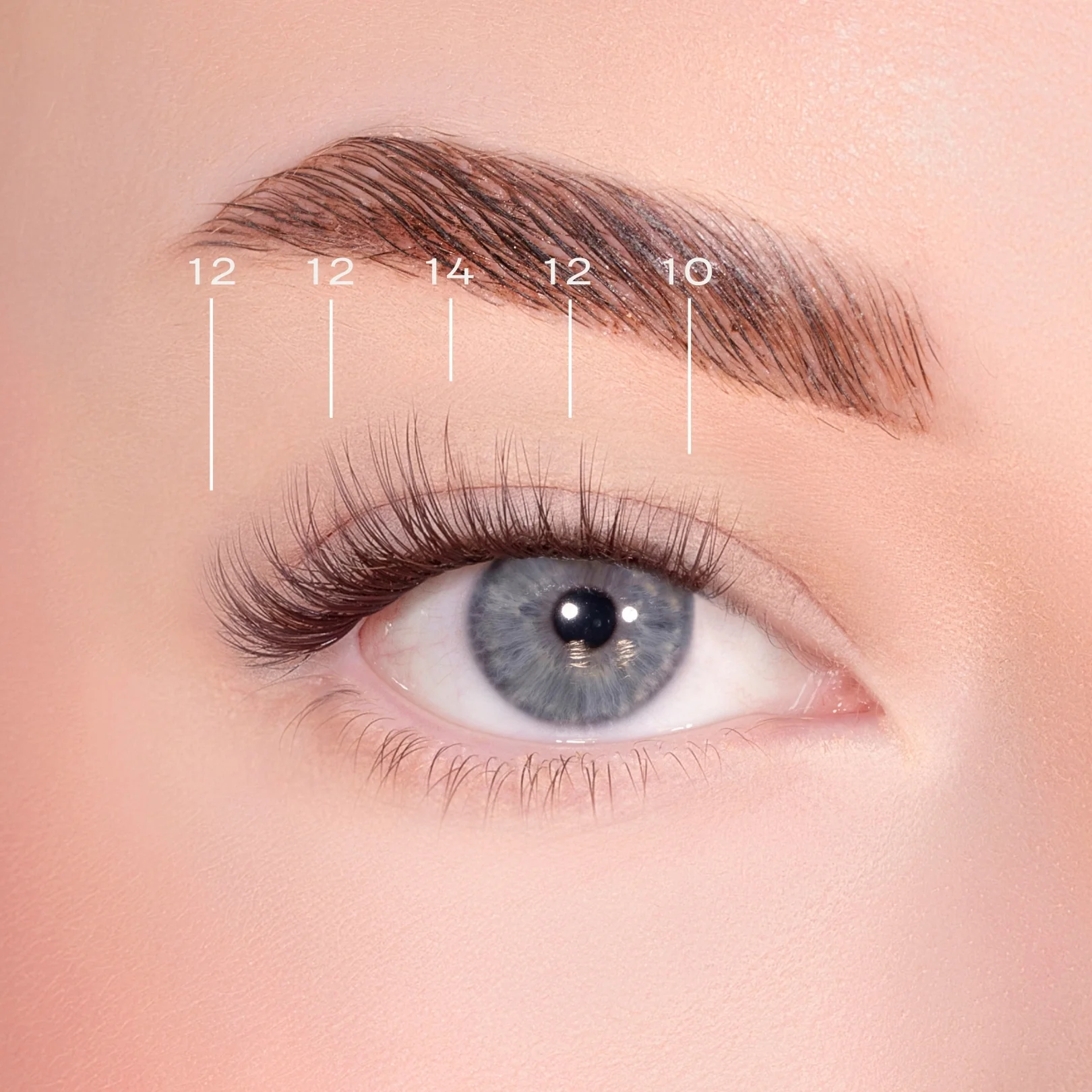Soft Wisp Dark Brown Pre-Glued Lashes - Image 4